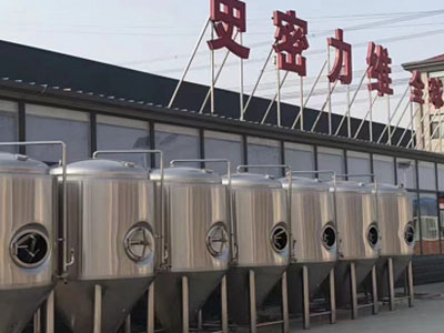 呼图壁精酿啤酒设备厂—市场规模与跨界新需求